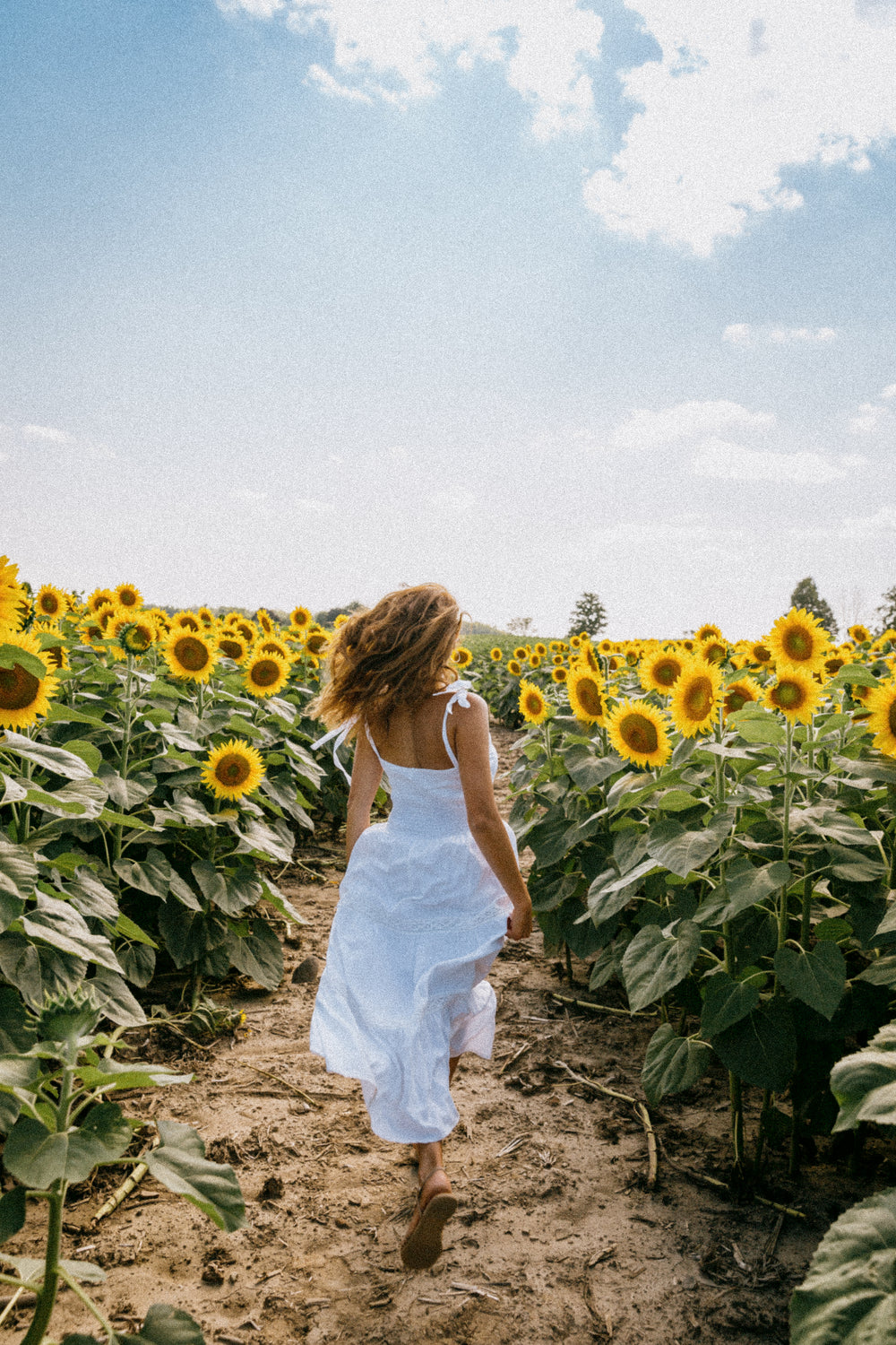 person skips in a sunny sunflower field