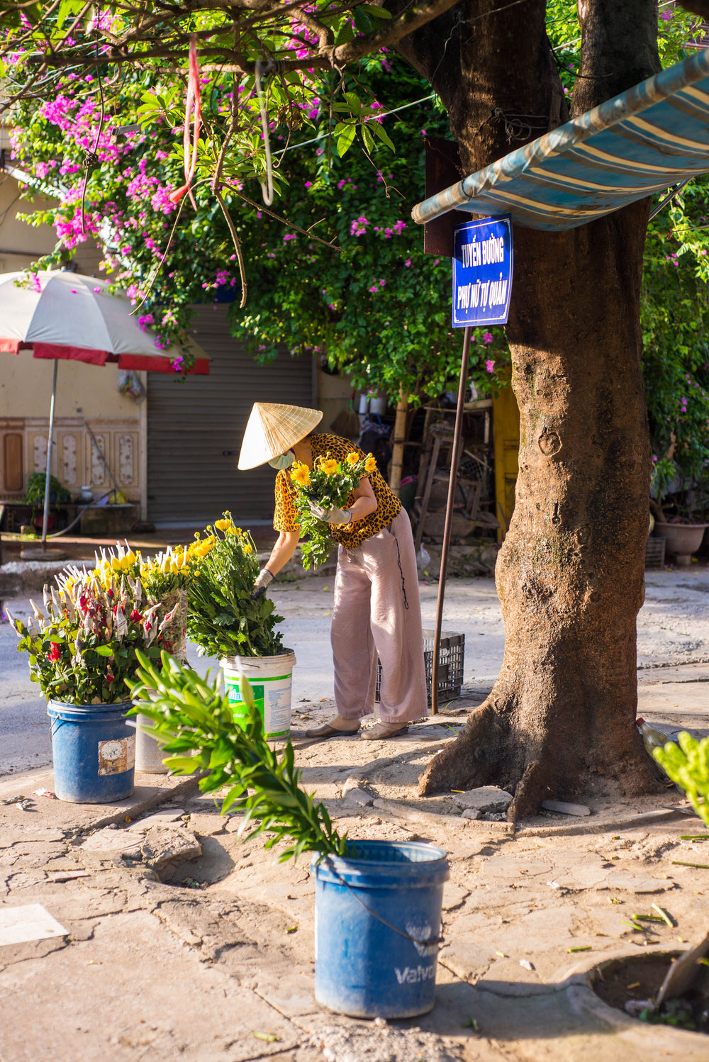 person sorts flower cuttings into blue and white buckets