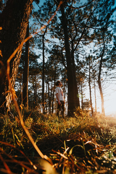 person standing in a forest at golden hour