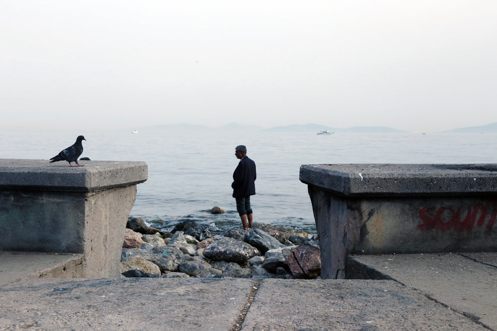 person stands barefoot on a rocky shore looking out