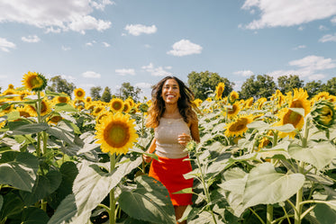person surrounded by sunflowers walks up to camera