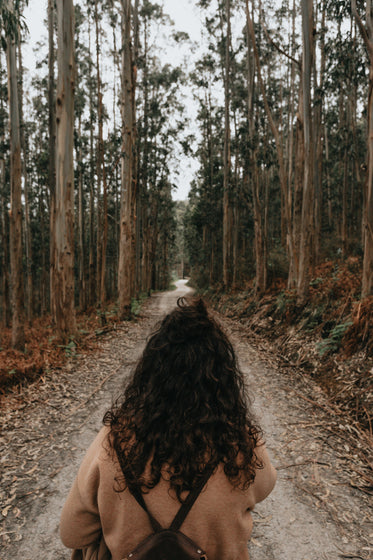 person walk down a tree lined pathway