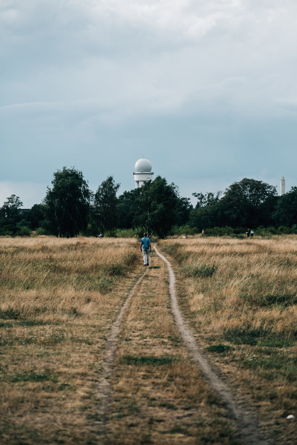 person walks down grass pathway towards trees