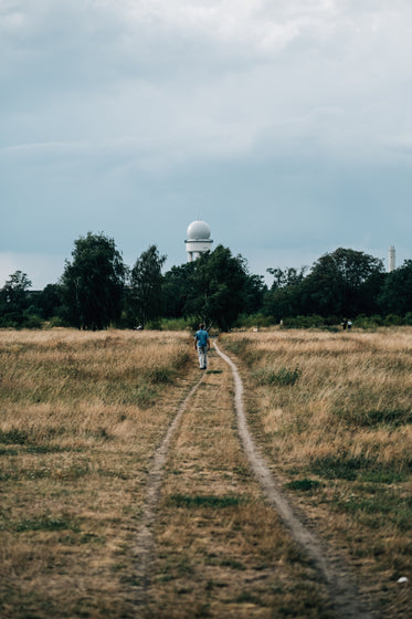 person walks down grass pathway towards trees