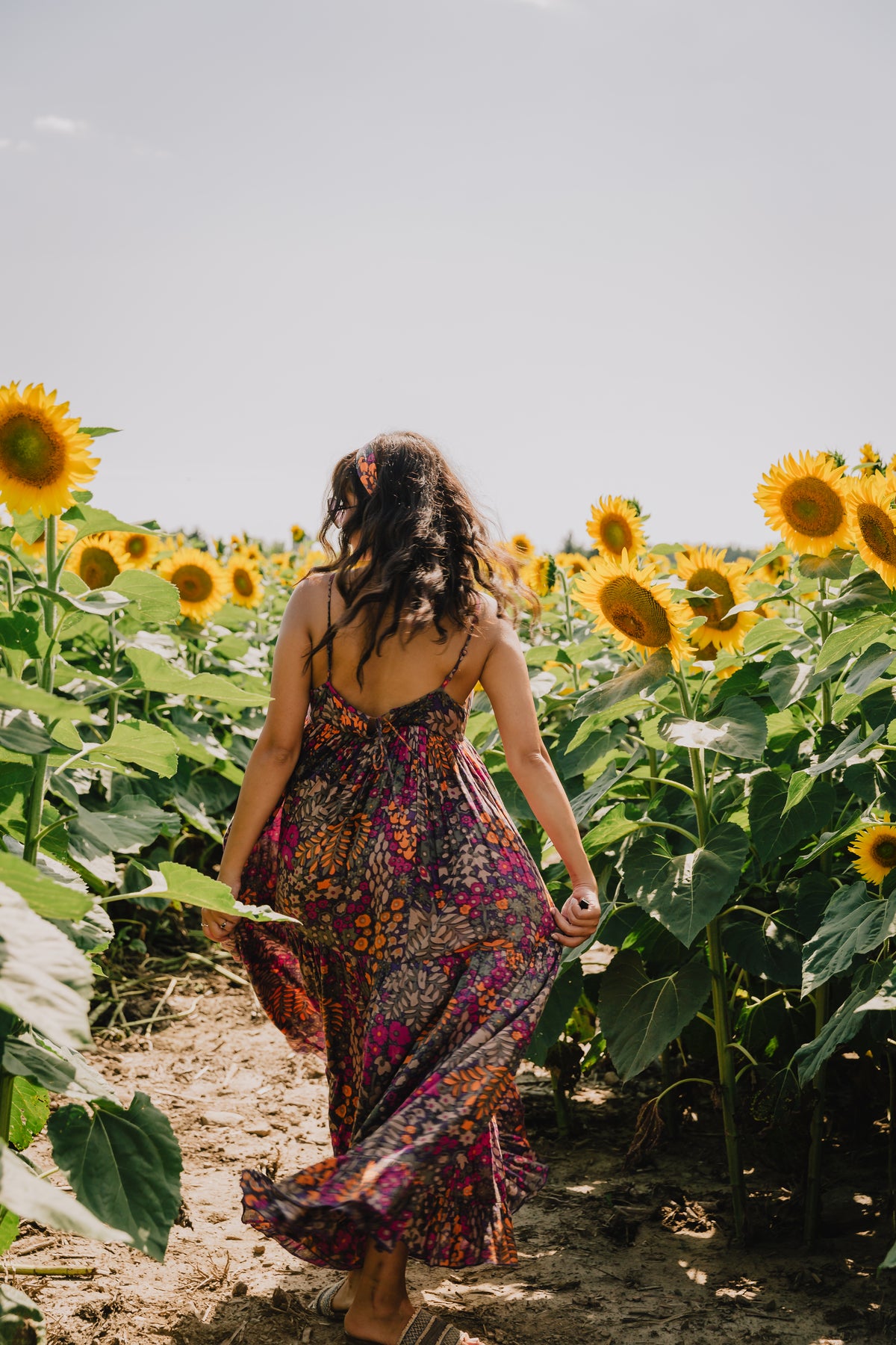 person walks down sunflower row