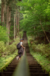 person walks up steps in lush green forest photo