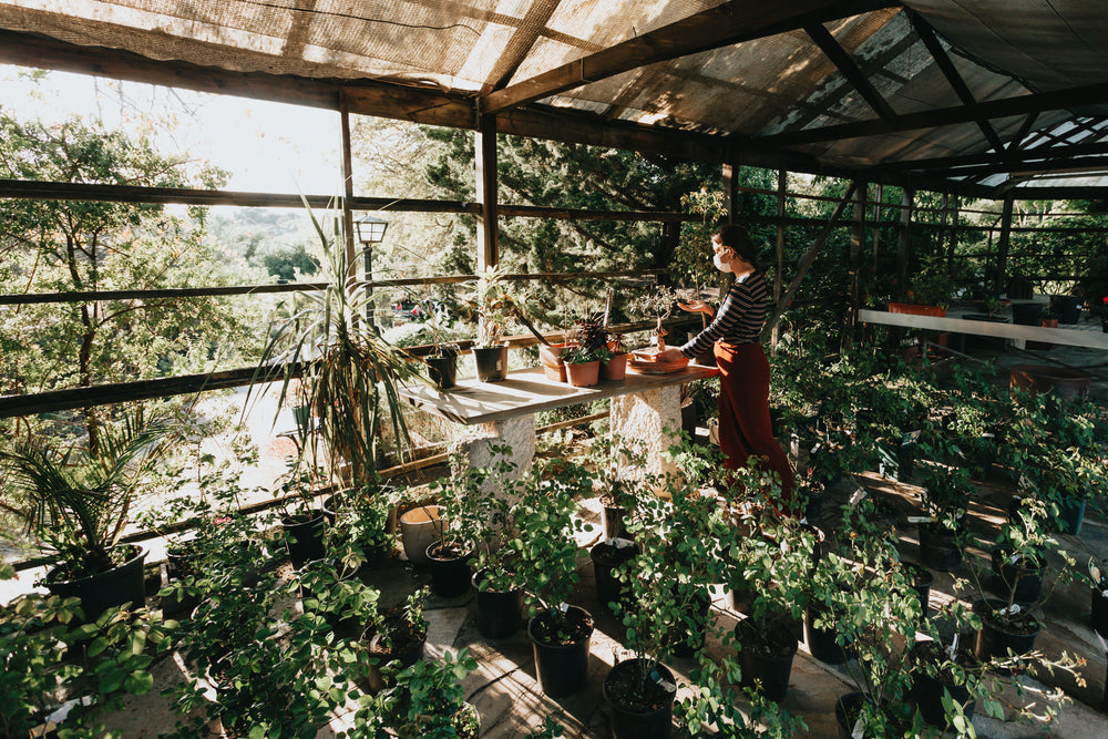 person wearing a facemask surrounded by potted plants