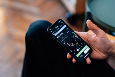 persons hand holding a phone showing a bitcoin chart