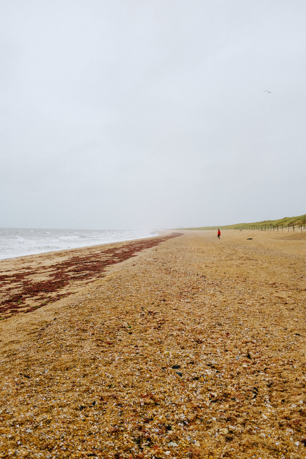 photo of a beach with coarse orange sand