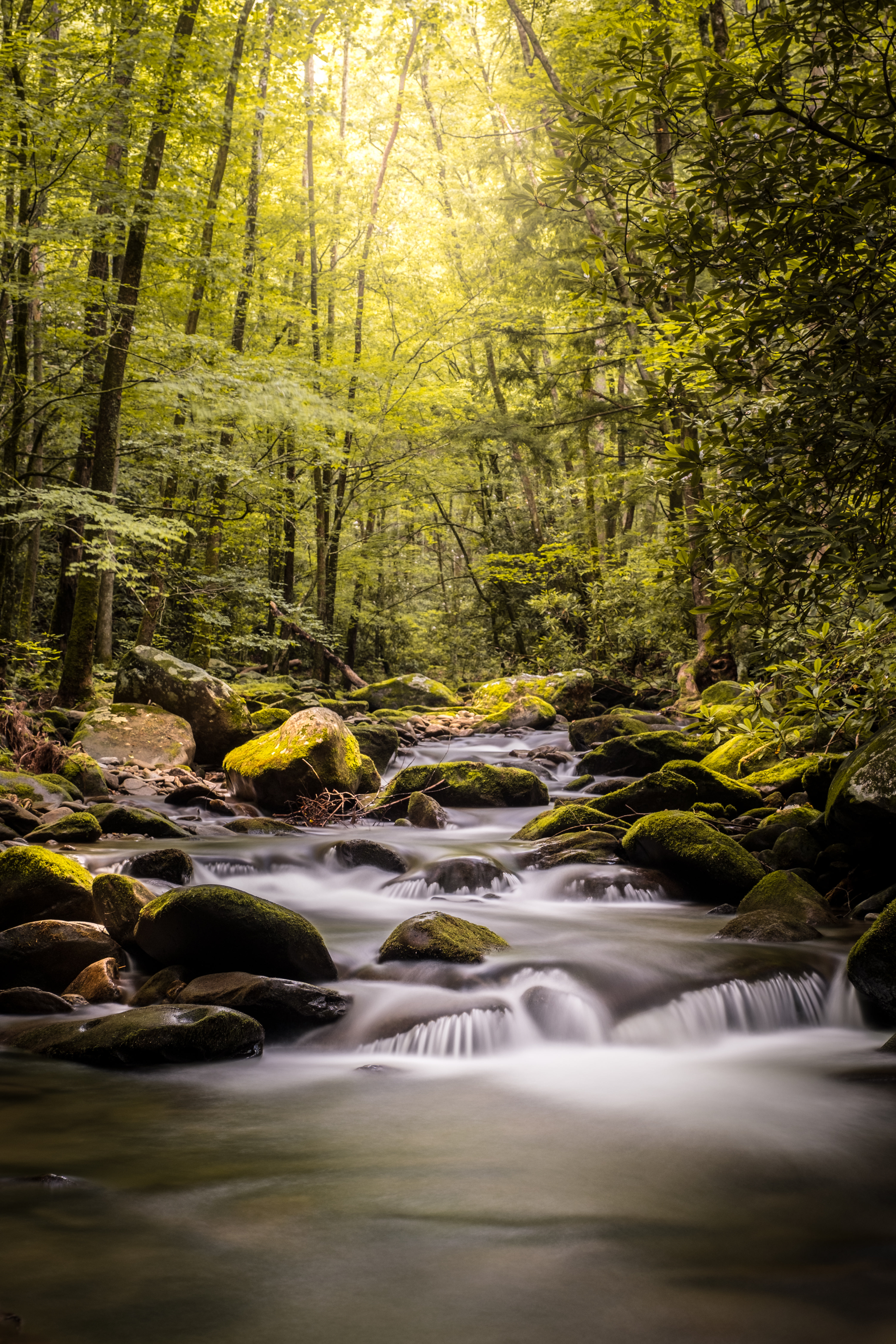 Wallpaper stream of river, water flow, forest, nature desktop wallpaper, hd  image, picture, background, 50add5 | wallpapersmug