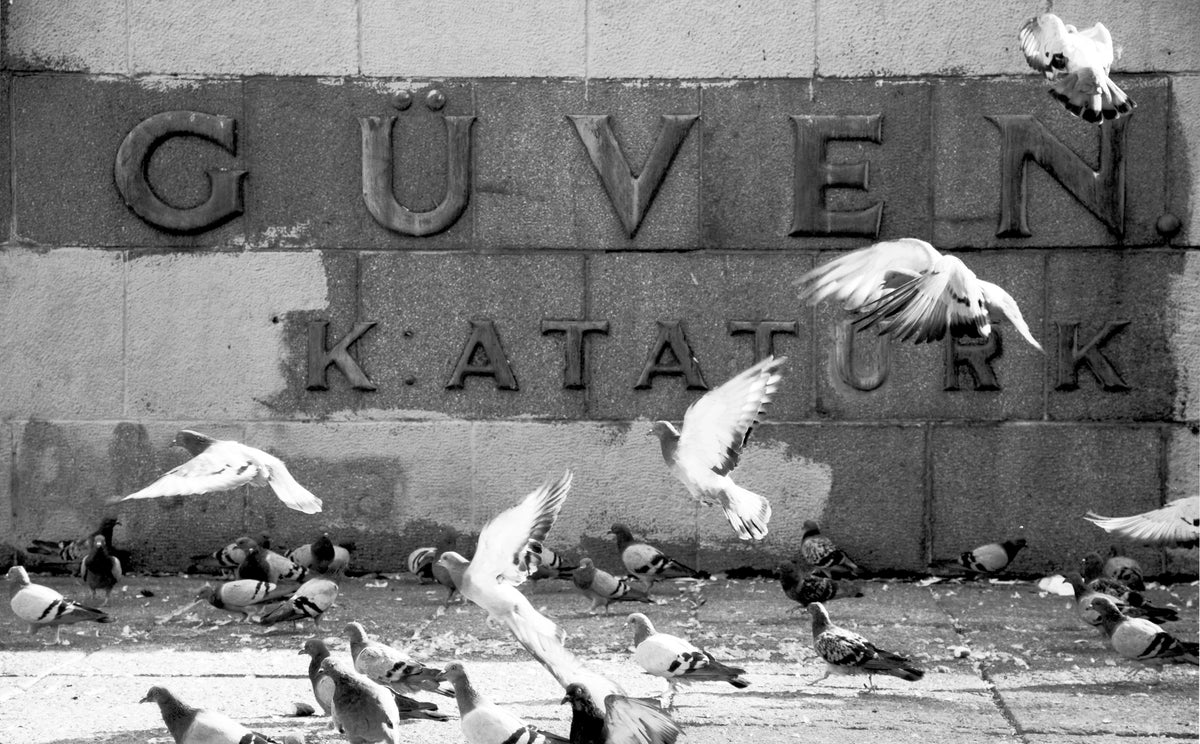 photo of pigeons against a cement wall in monochrome