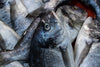 photo of silver and blue fish in a pile
