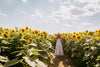 photographer frames their photo in a sunflower field