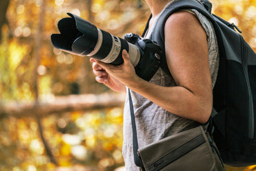 Free Photographer Holding Camera Photo — High Res Pictures