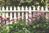 picket fence & flowers
