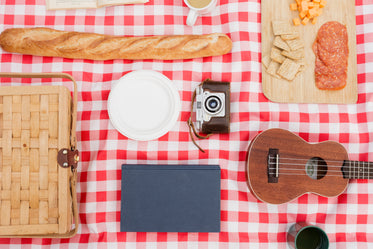 picnic blanket with basket food book and uklulele