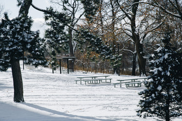 picnic tables in a snowy park