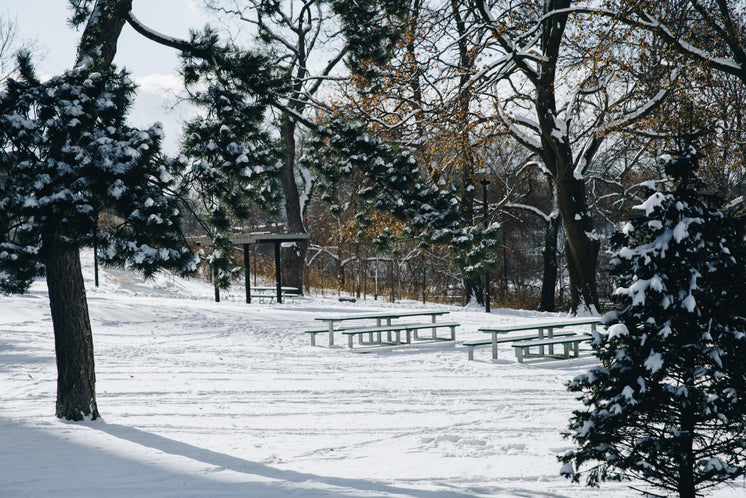 雪地公園里的野餐桌