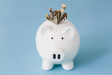 Free Piggy Bank On Blue Photo — High Res Pictures