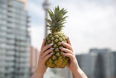 pineapple in the city