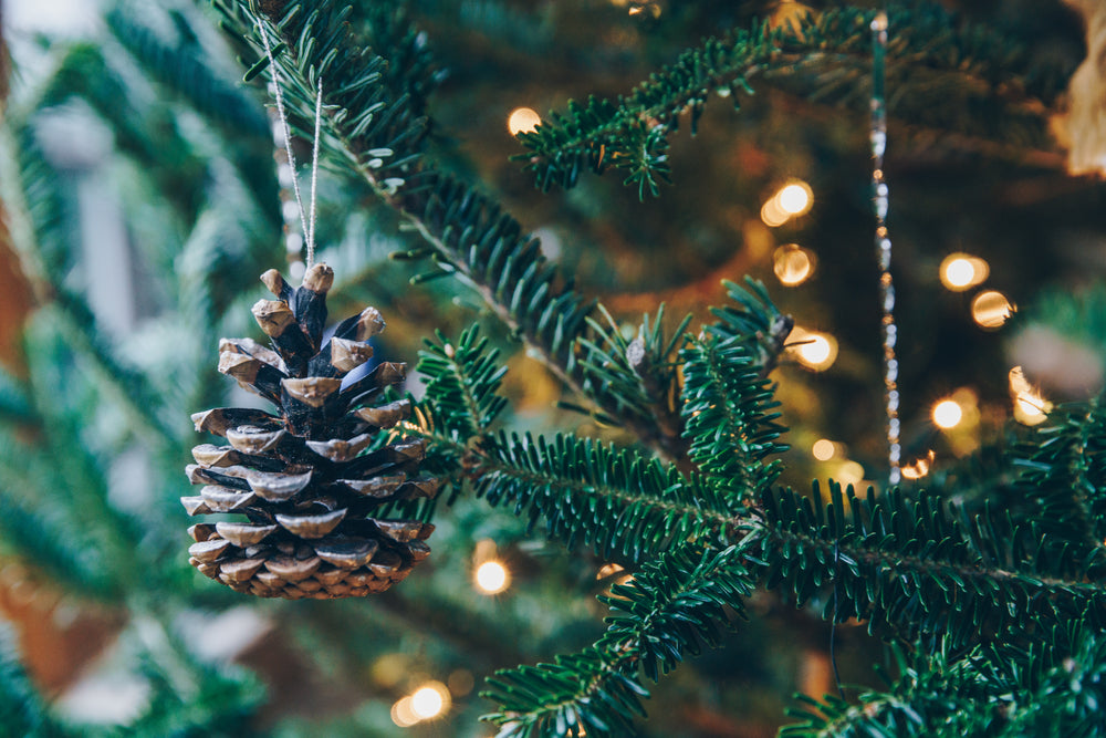 pinecone and lights on tree