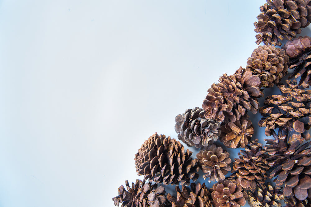 pinecone corner