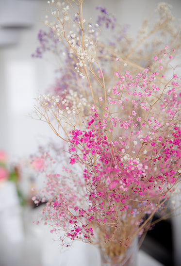 pink and white small flowers rest in a glass vase