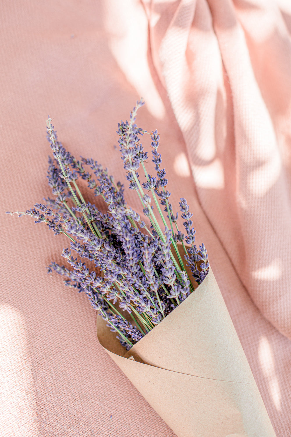 pink blanket with lavender bundle