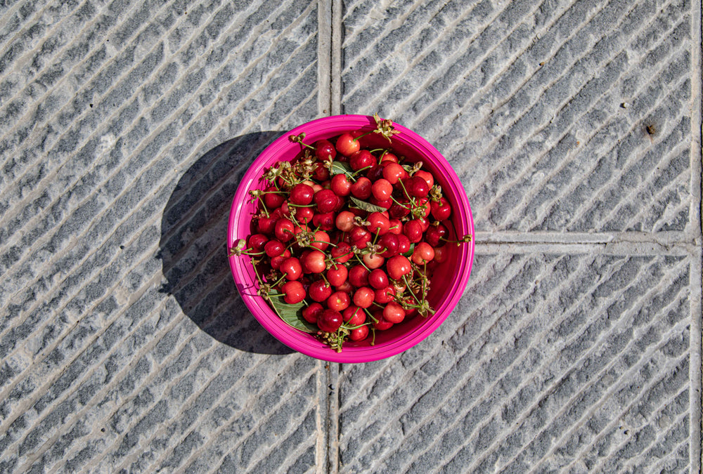pink bowl of cherries on the ground