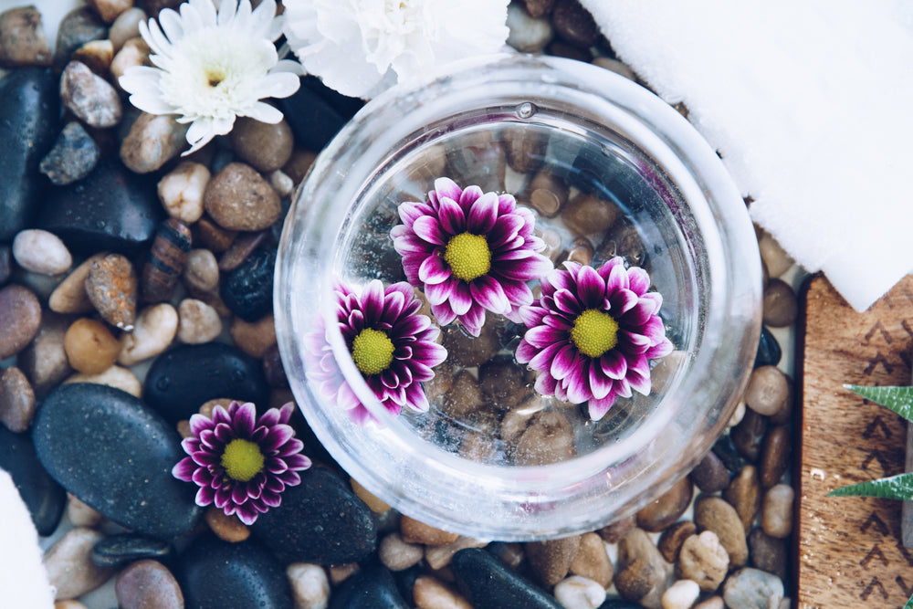 pink flowers in water