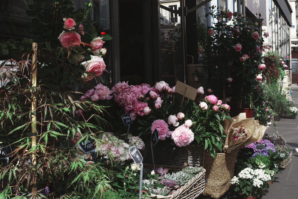 pink flowers outside florist