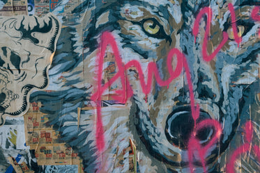 pink graffiti on wolf painting wall