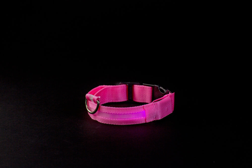 pink light up dog collar