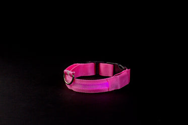 pink light up dog collar