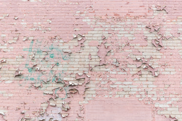 Browse Free HD Images of Pink Paint Peeling Off Brick Wall Texture