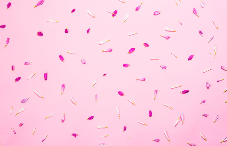 pink-petals-on-pink.jpg?width=746&format