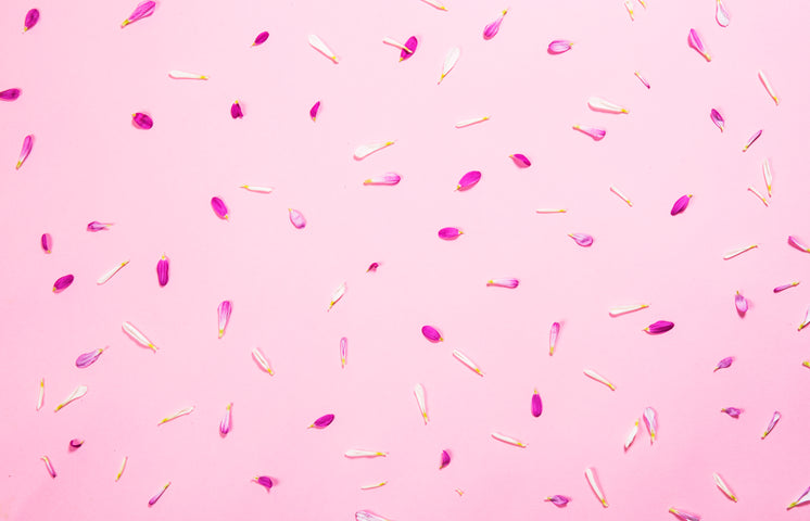 pink-petals-on-pink.jpg?width=746&format=pjpg&exif=0&iptc=0