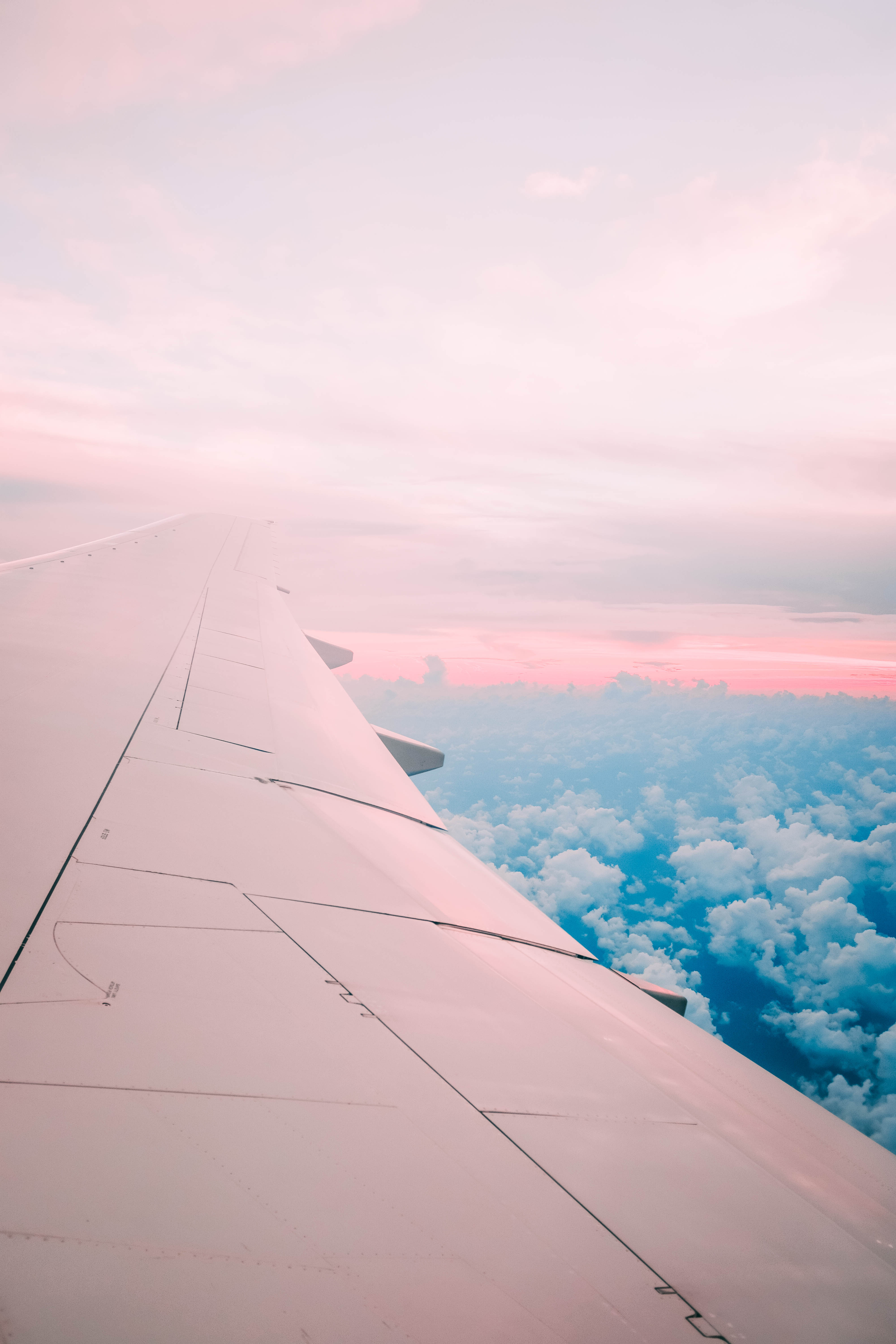 Picture of Pink Plane Wing  Free Stock Photo