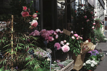 pink roses and white daisies outside a flower shop