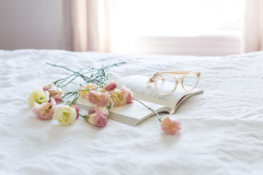 pink yellow flowers on bed