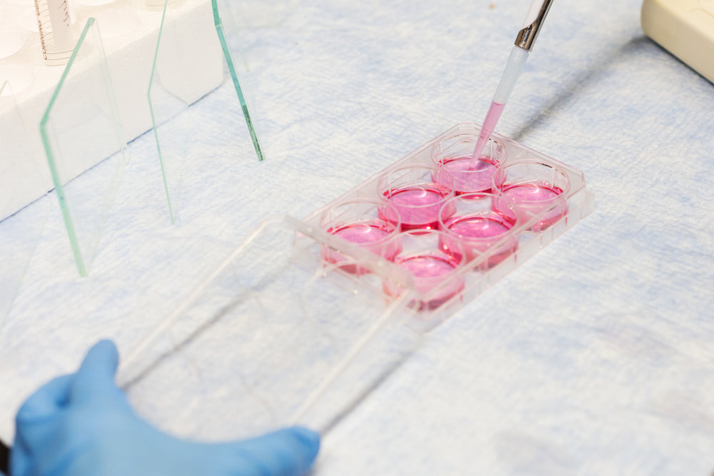 pipette in lab test trays