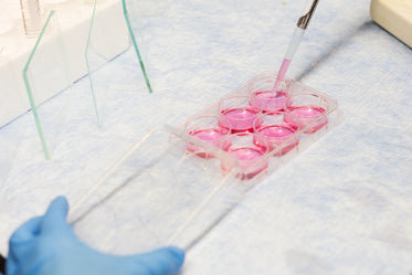 pipette in lab test trays