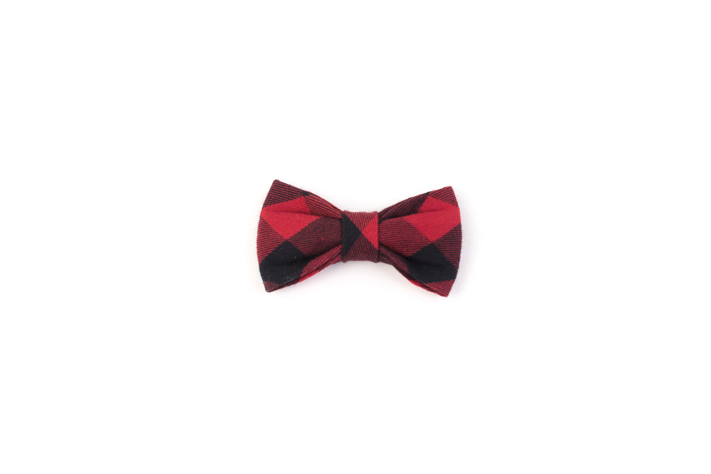 plaid kitten bowtie