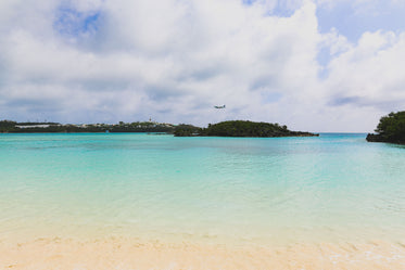 plane glides above tropical beach