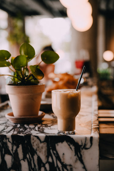 plant near iced coffee on marble cafe counter