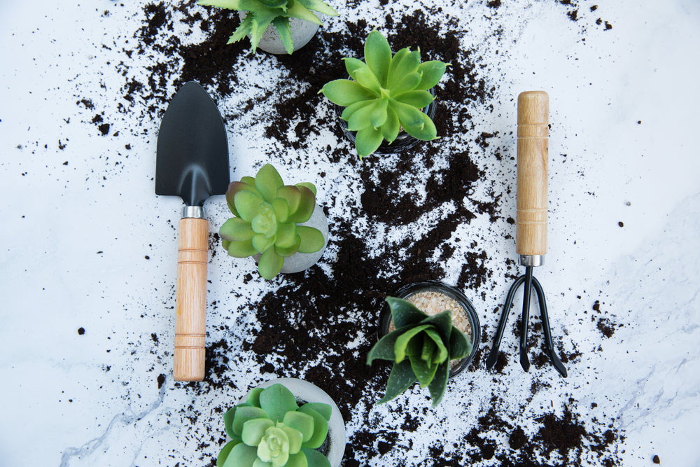 plant potting tools and soil on a light background