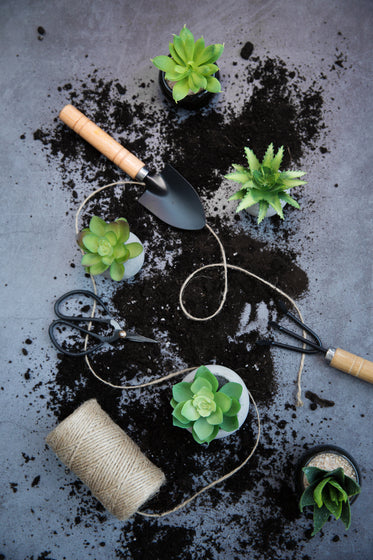 plant potting tools and soil
