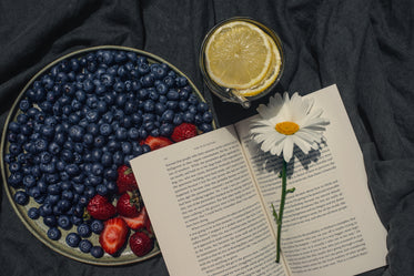 plate of summer fruit with drink and an open book