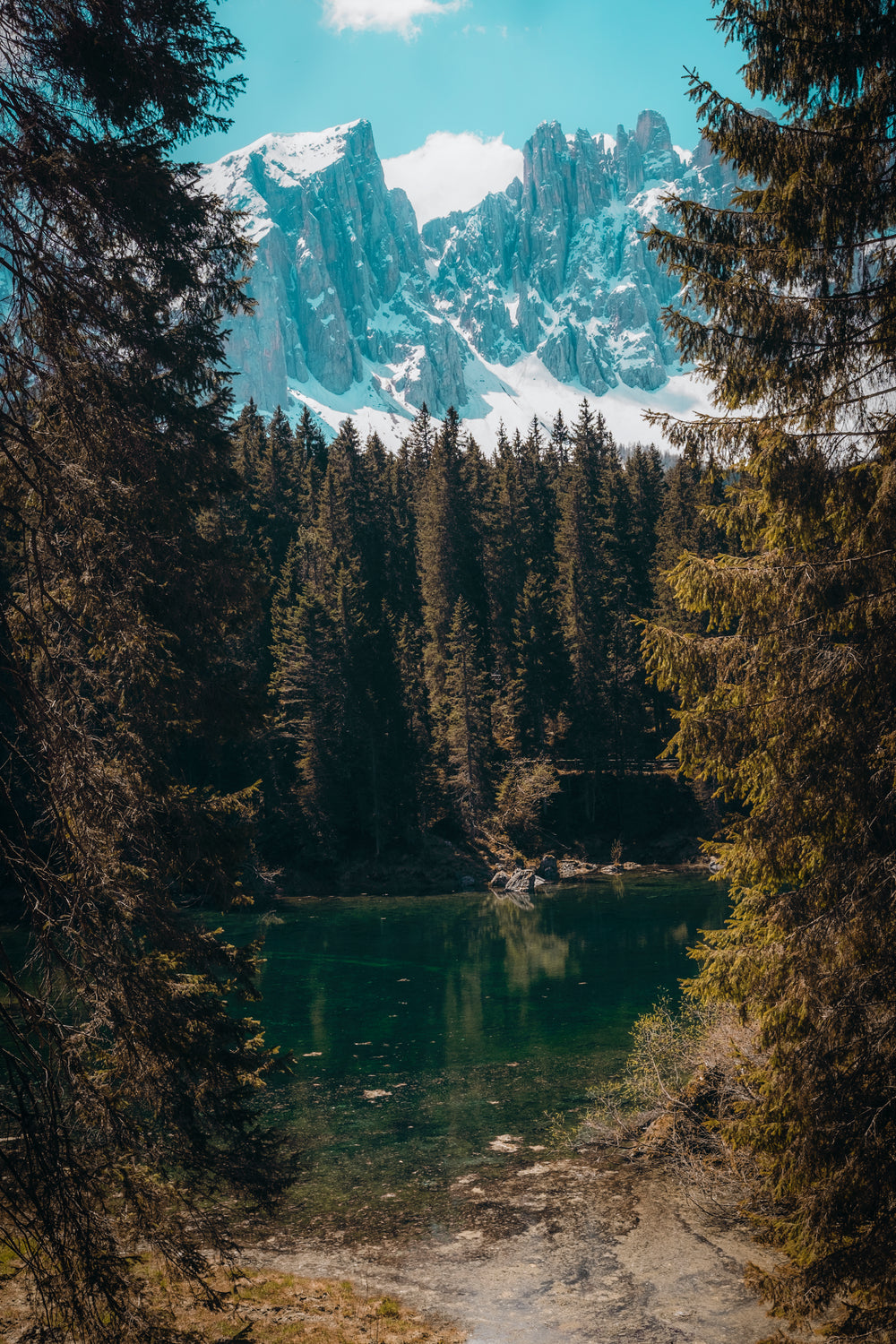 pond in forest a foot of mountains