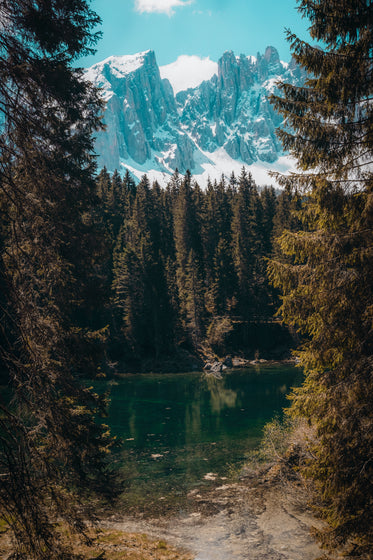 pond in forest a foot of mountains